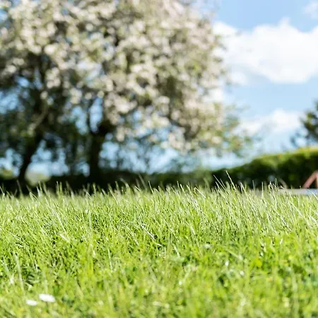Апартаменты Strandperle Hasselberg (Schleswig-Holstein)