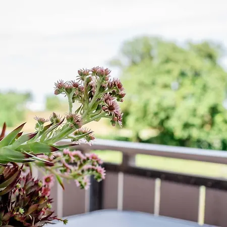 Strandperle * Hasselberg (Schleswig-Holstein)