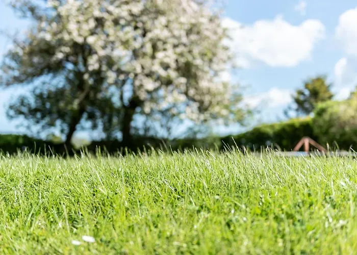 Lejlighed Strandperle Hasselberg (Schleswig-Holstein)