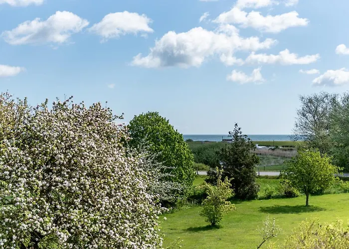 Lejlighed Strandperle